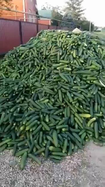 Мне бы такого друга смотреть онлайн