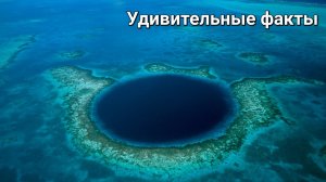 🎥 Марианская впадина — загадочная бездна океана! 🌊🔍