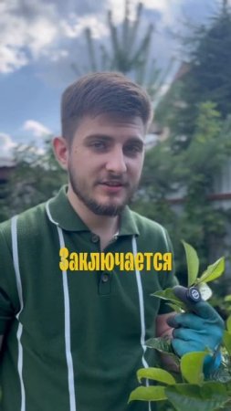 Просто выкладывай.