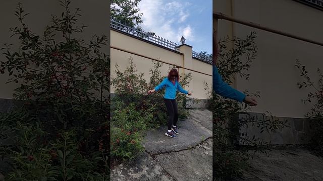 Зажигательная Прогулка до пруда через посёлок