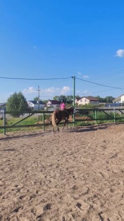 Василиса шагает неспеша на Каспере без седла, в рысь подниматься опасается.
