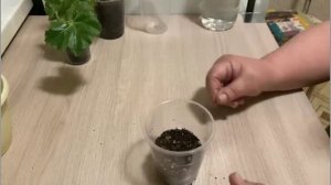 №90 Пересадочки в новом 2025-м году.