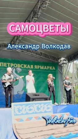 💖#александрволкодав #самоцветы🔥XIII Соминская Петровская ярмарка, "САМОЦВЕТЫ" и Александр Волкодав