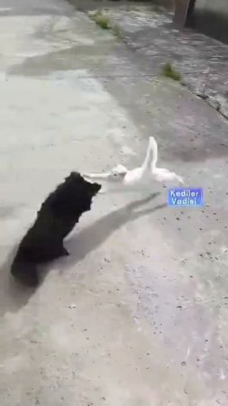 не в тот район зашли