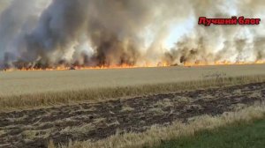 ⚠️13.07.25 Ставропольский край и Калмыкия 
Горят поля пшеницы