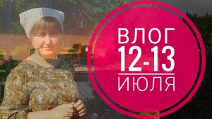 Что на спицах и лето пришло в Петербург