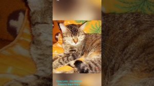 Coss Lorie - Our Mutual Friend & Xique Xique. Memories from GooglePhoto.