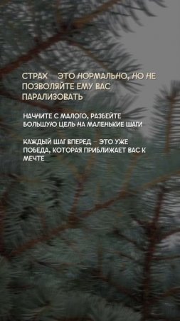 Парадокс парадоксов - бояться своих ЦЕЛЕЙ и ЖЕЛАНИЙ 🤪