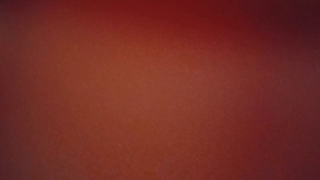 Жизнь басиков днём 2 часть Basik cat  кот басик РекЗаюшь