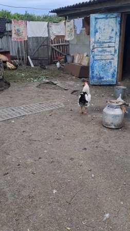 1000043451.mp4