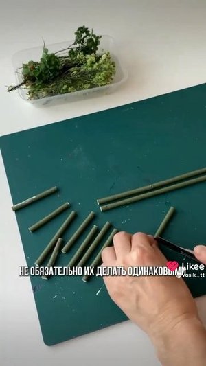 1000029785.mp4