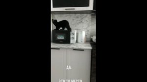 Надо поставить холодильник в мою комнату )