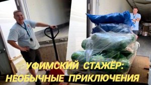 Сначала думал, что легко... А потом началась настоящая стажировка! #СтражёризУфы