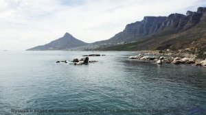 Музыка ведёт за собой сквозь поля и небо - Mushrooms -- HoliznaCC0 -- Chill Out