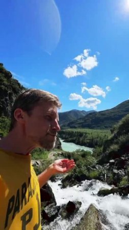 Глоток мечты: как я пил воду из чистейшего ручья Алтая .