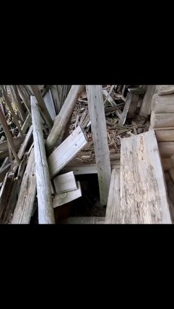 Приехал в незванные гости