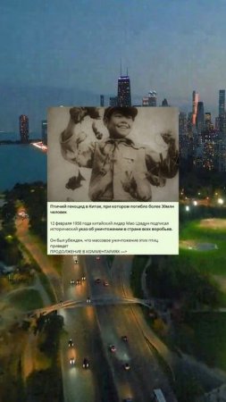 h_146_Птичий геноцид в Китае, при котором погибло более 30млн человек_E