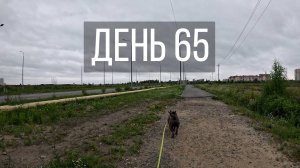День 65