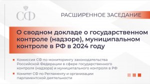 О сводном докладе о государственном контроле (надзоре), муниципальном контроле в РФ в 2024 году