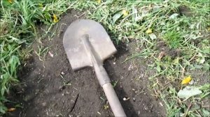 Чистим дорожки от сорняков