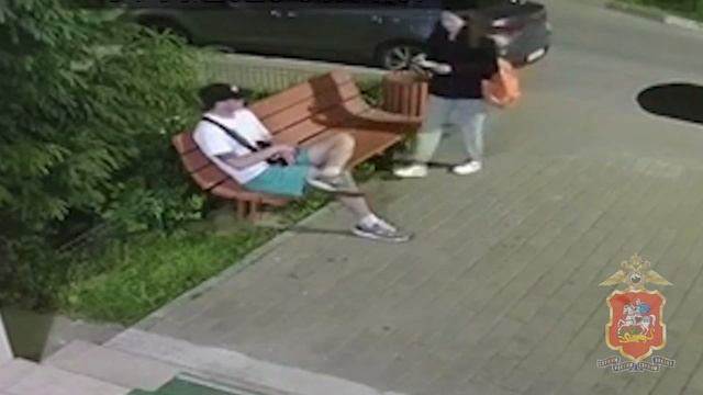 Полицией Подмосковья задержан сообщник аферистов, убедивших студентку отдать 5 млн рублей из сейфа