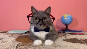 ЛОТКОВ В ПОИСКАХ ЛЕТА