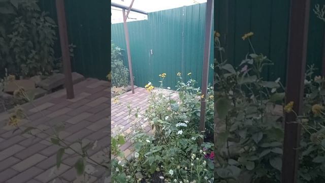 Беседка для отдыха.