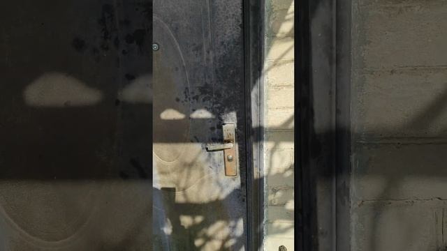 Попросила denги под ноль не тратить...