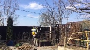 Опрыскивание деревьев на участке - LiWood