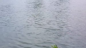 Малиновый вечер✨в Кисловодске на Новом озере