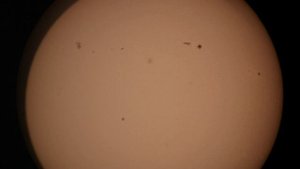 SW 150.750 Солнце и Дикая утка.