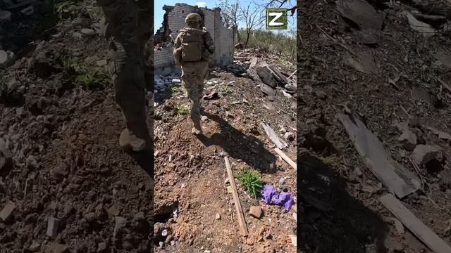 СВО