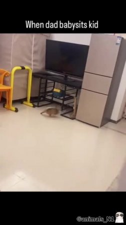 Подпишись 👉 https://vk.com/ykrasheniy_iz_kamny