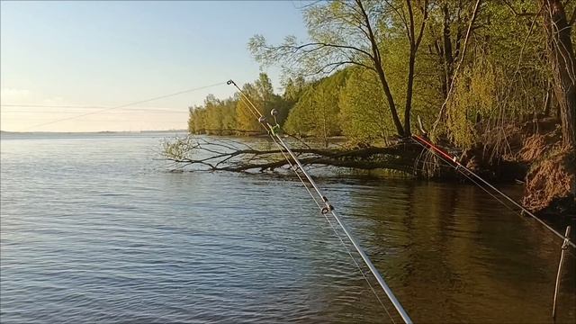 Неудачное открытие сезона на донки. 2025 смотреть онлайн