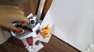 LPS случай в кинотеатре