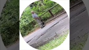 По улице Жемчужная сняли престарелого извращенка-дрочера.