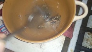 Мясо птицы Трясогузки
