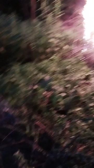 Я ем марку ты говоришь поло