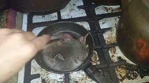 Мясо Трясогузки дичь рецепт приготовления пищи из мясо дичи