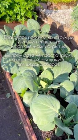 Красиво, функционально и урожайно - это девиз «Красивой грядки»!