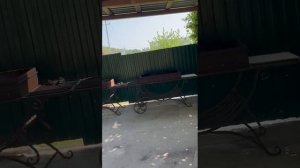 наше будущее жильё  на несколько дней