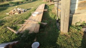 Вечер с Дарки  и Коржиком 14-07-2025