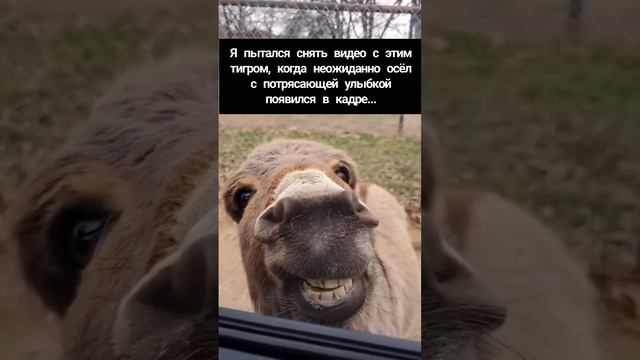 1000057208.mp4