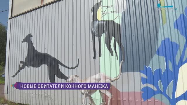 Новые обитатели Конного манежа в Царском Селе