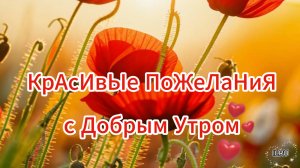 Пожелание с добрым утром бесплатно 🤗 НОВИНКА