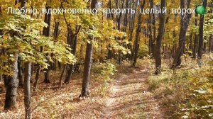 Стихотворение про любимое