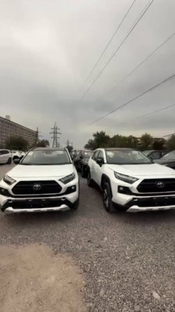 Скоро ожидаем поступление Toyota RAV4. Цена по приезду 3 950 000 ₽. Срок поставки 8-10 дней.