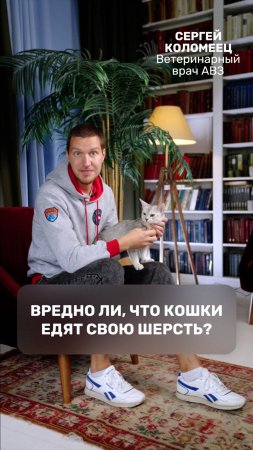 Вредно ли, что кошки едят свою шерсть?