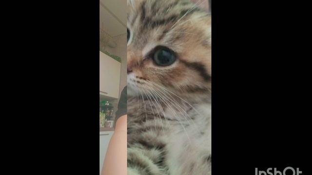 ❤😚❤
