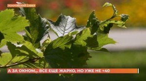 А за окном. 14 июля 2025